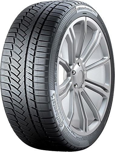 Continental WinterContact TS E /MINI Onaylı 225/55 R17 97H RFT lastik deseni